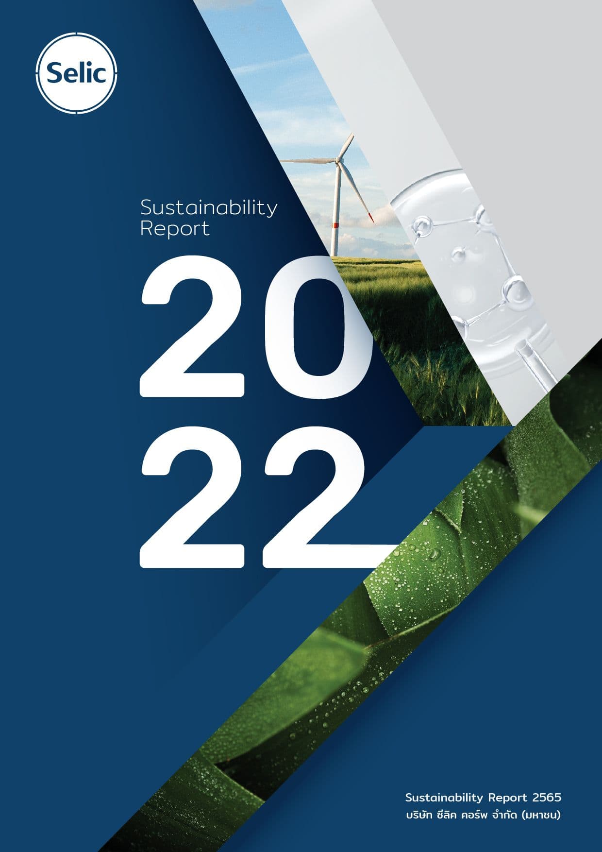 รายงานการพัฒนาอย่างยั่งยืน